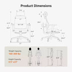 Sedia da ufficio ergonomica con supporto lombare auto-seguente