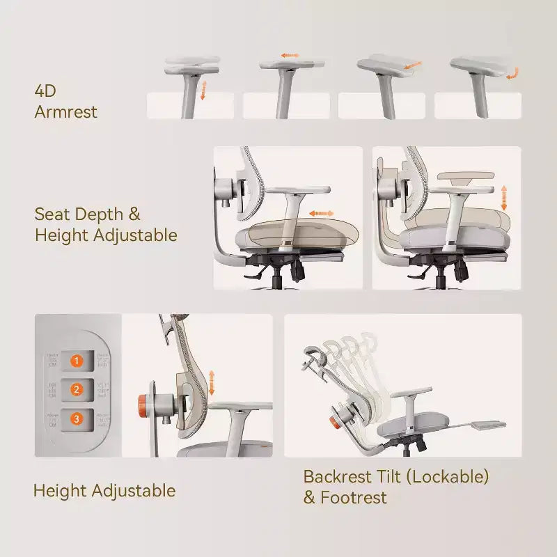 Sedia da ufficio ergonomica con supporto lombare auto-seguente
