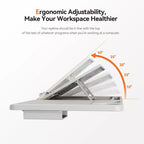Sedia da ufficio ergonomica con supporto lombare auto-seguente